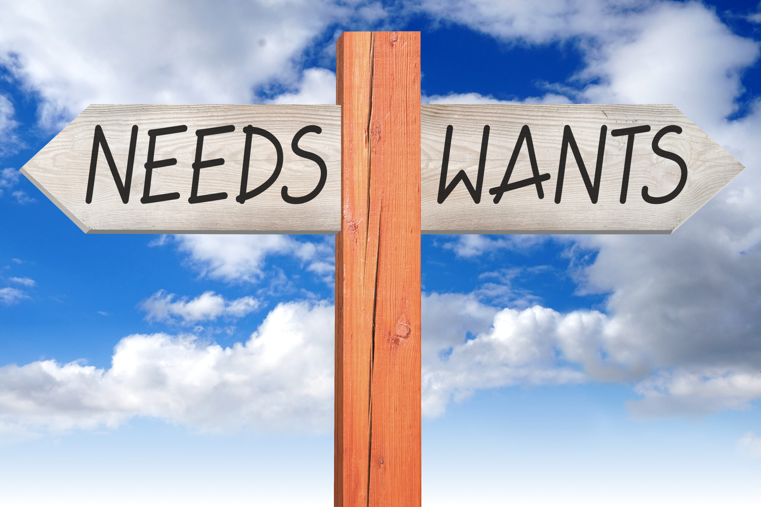 1.3 Needs vs Wants: The Simple Rule That Can Save You Thousands